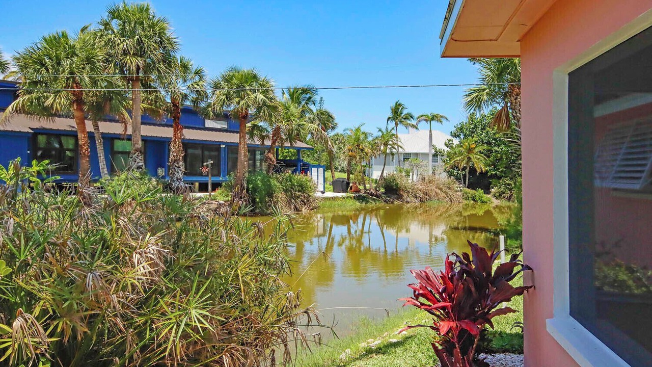 Photo of Outdoor in Tradewinds