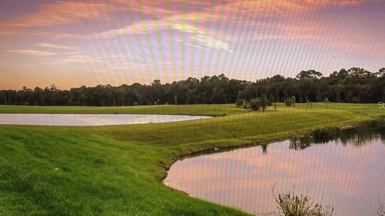 Photo of Others in Lakewood Ranch
