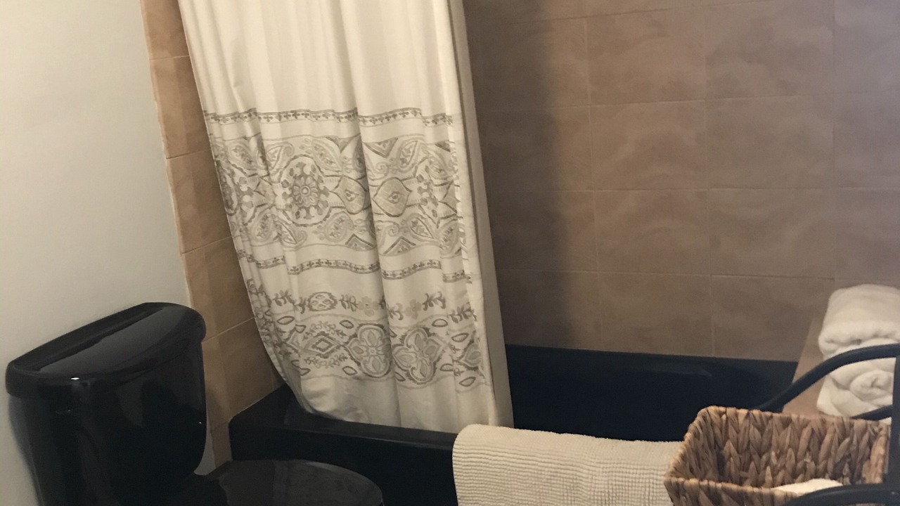 Photo of Bathroom in Wellington