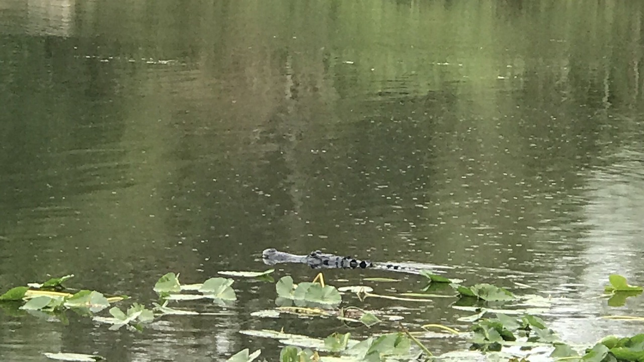 Photo of Outdoor in Leesburg