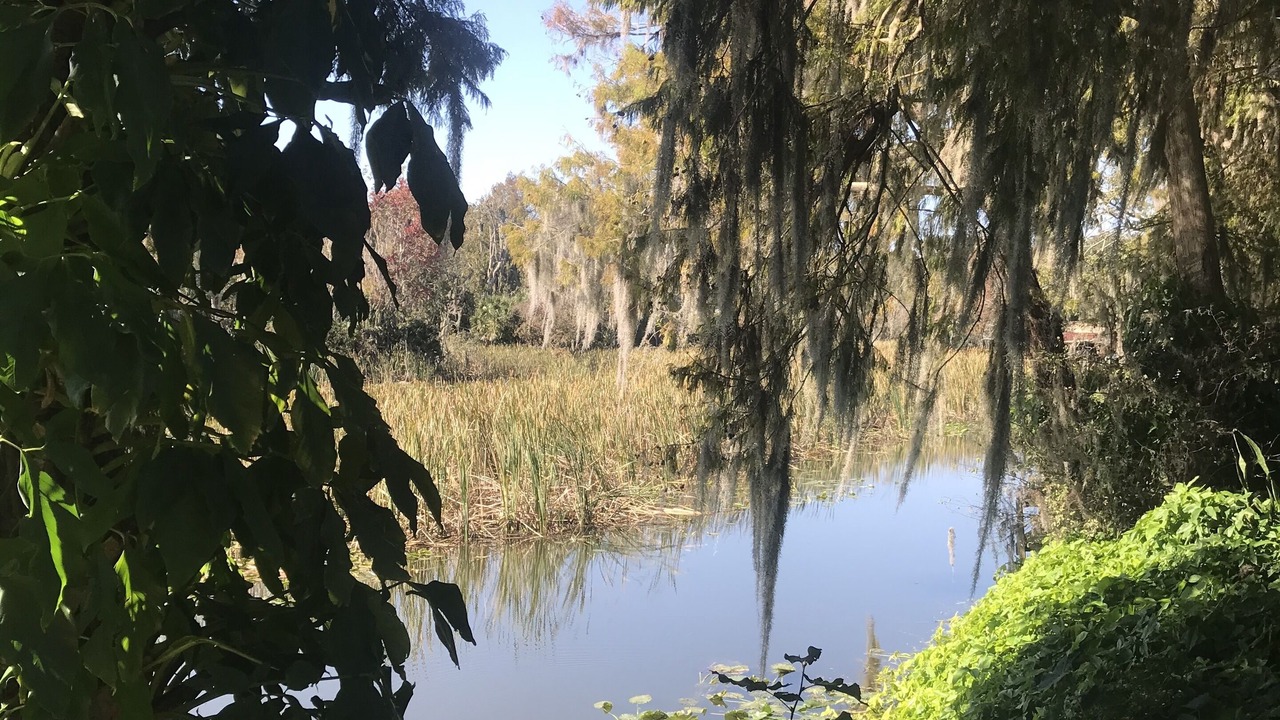 Photo of Outdoor in Leesburg