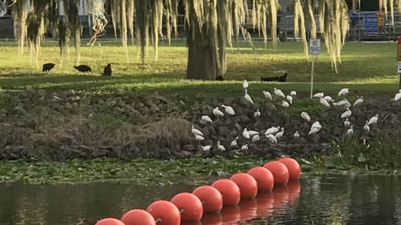 Photo of Outdoor in Leesburg