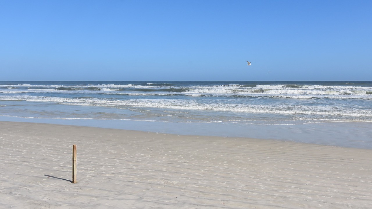 Photo of Others in New Smyrna Beach