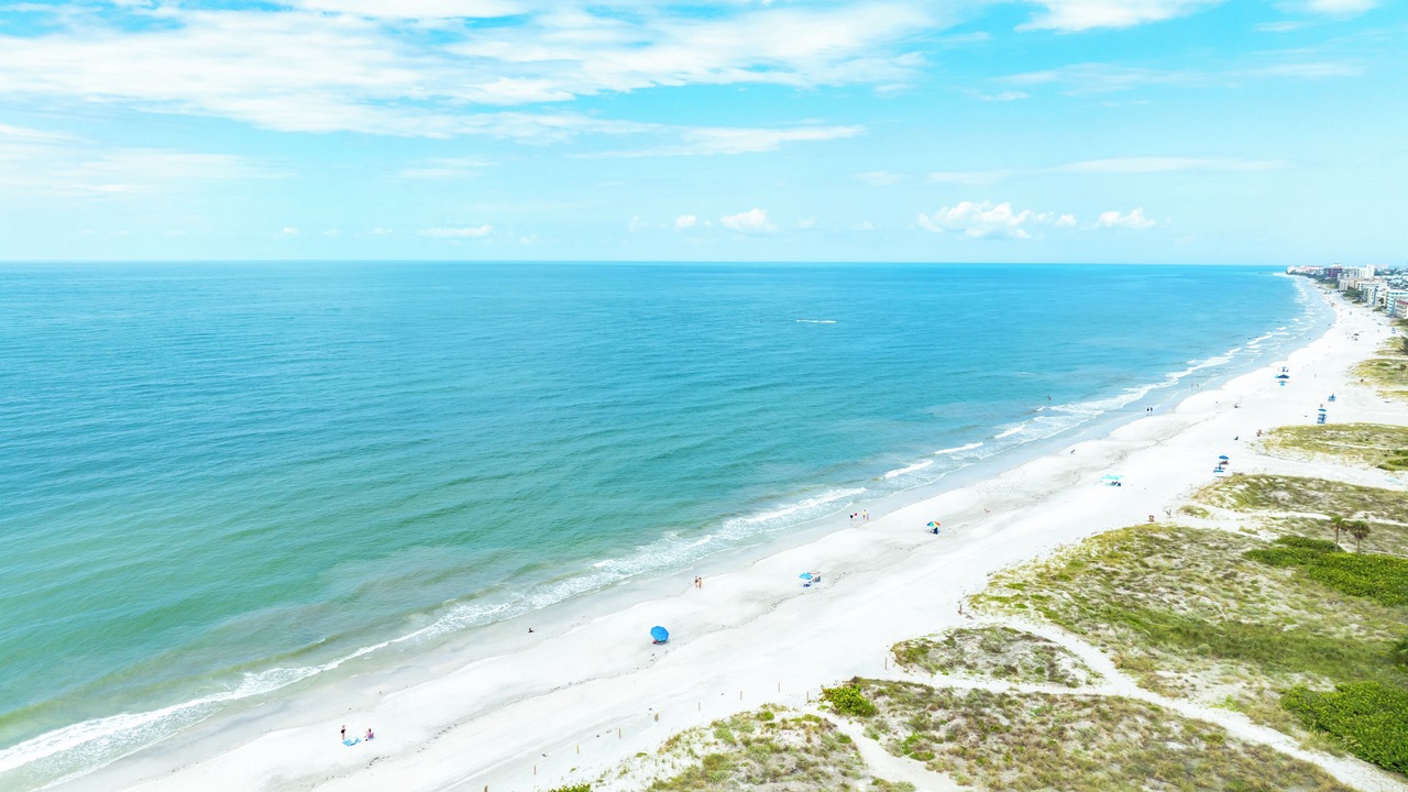 Photo of Others in Madeira Beach