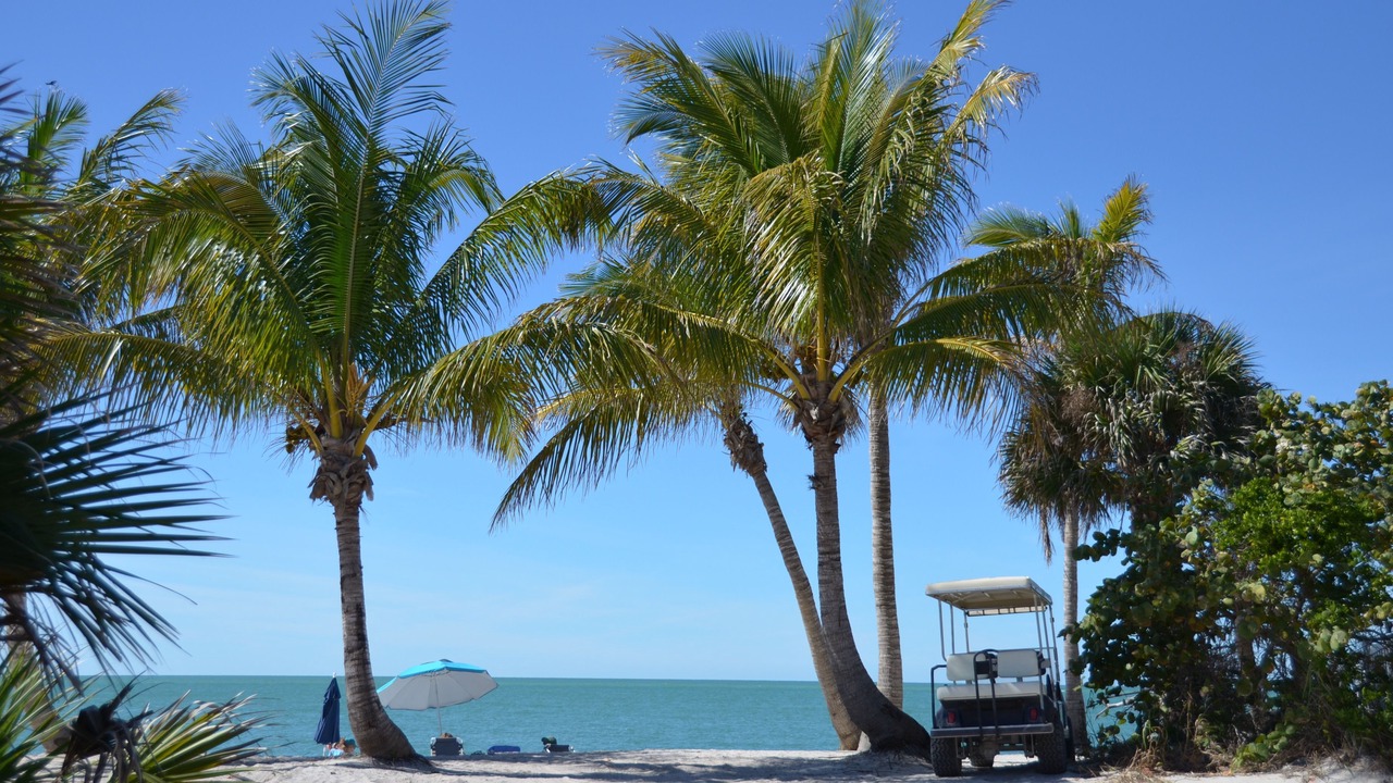 Photo of Others in Captiva