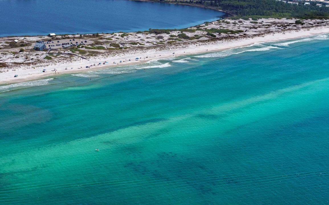 Photo of Others in Seagrove Beach