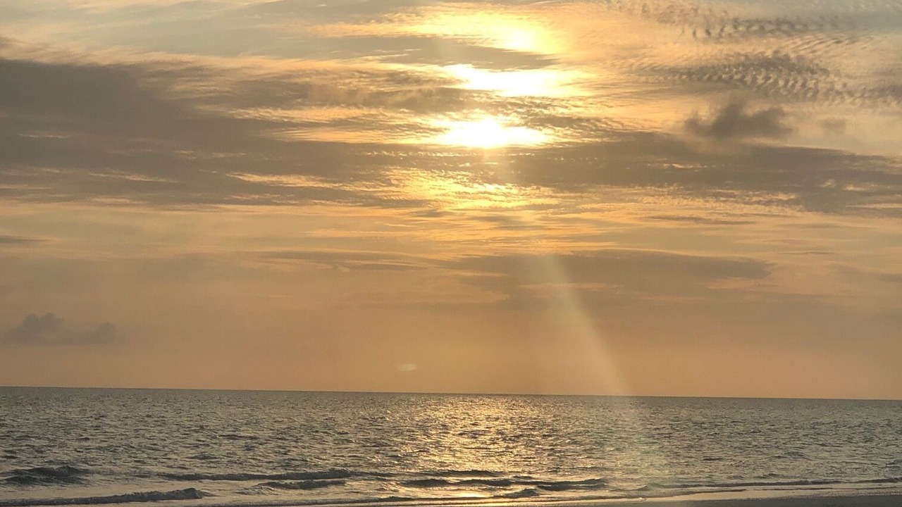 Photo of Others in Marco Island