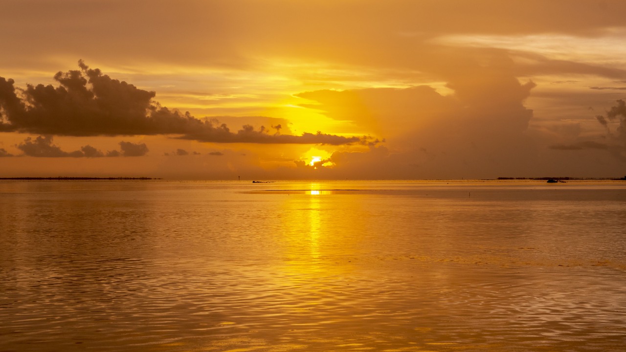 Photo of Others in Big Coppitt Key
