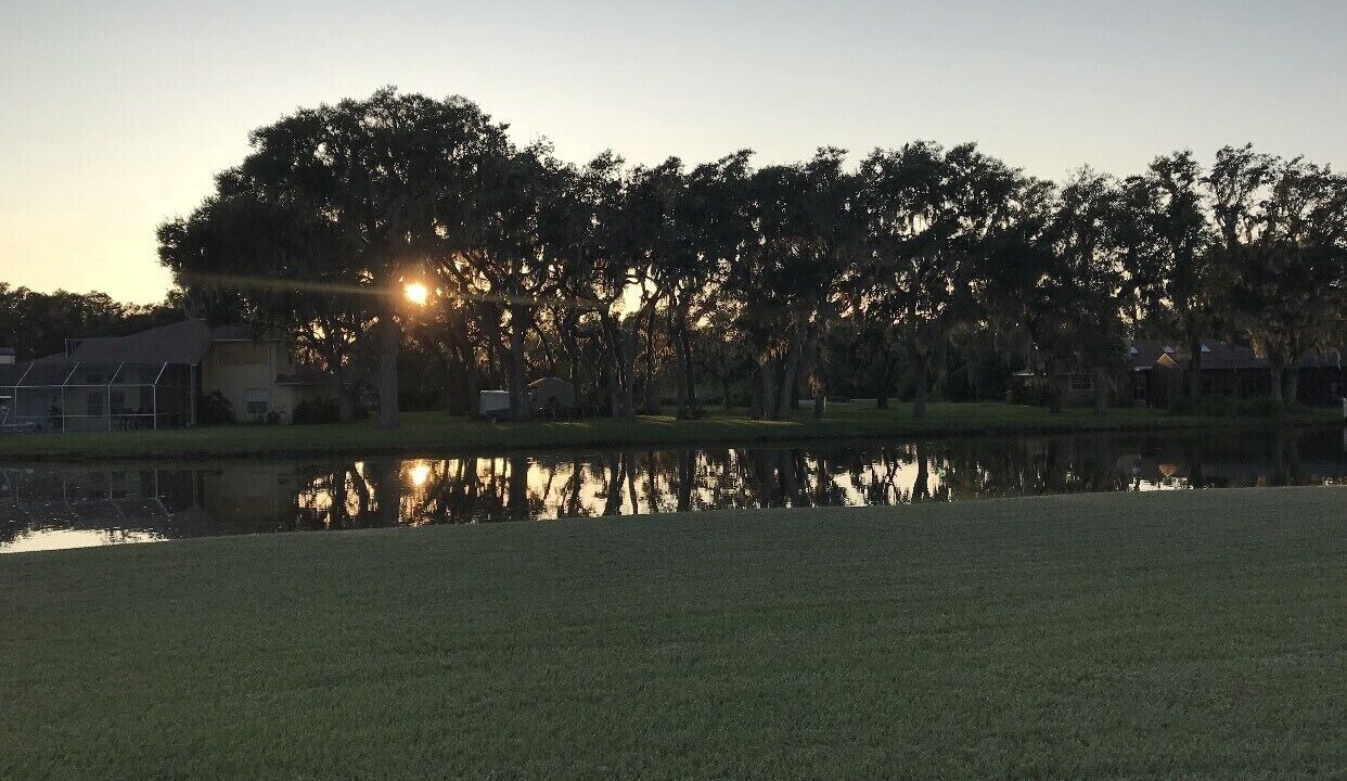 Photo of Outdoor in Palmetto