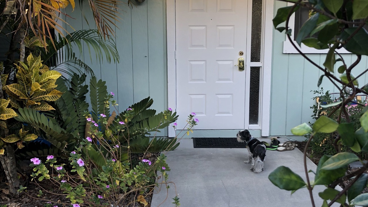 Photo of Outdoor in Bella Vista