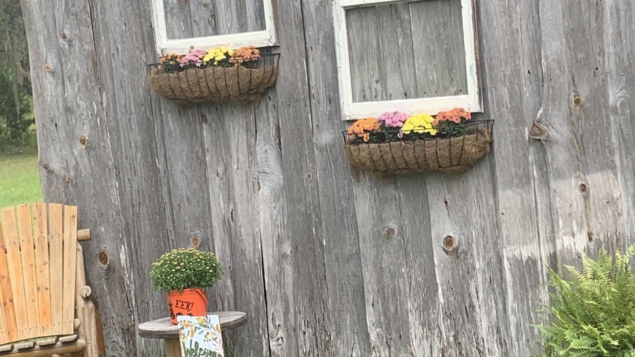 Photo of Outdoor in Floral City