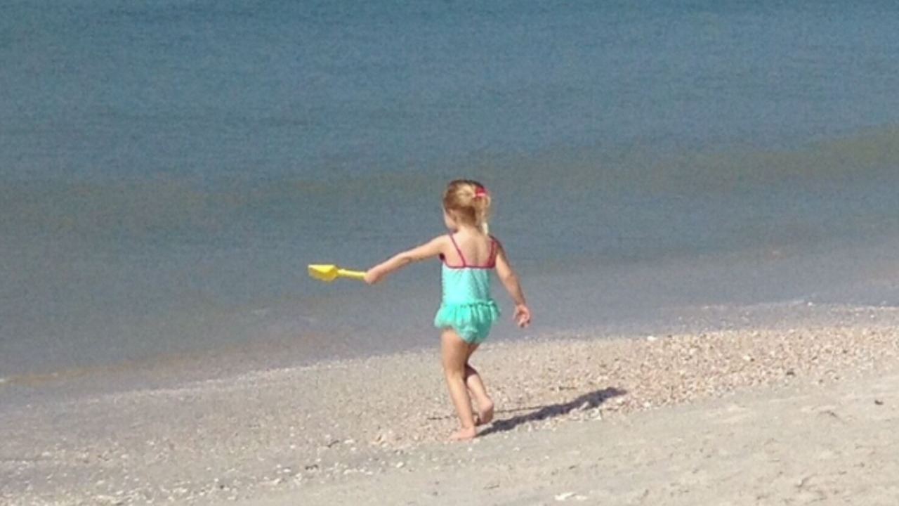 Photo of Others in Pinellas Point