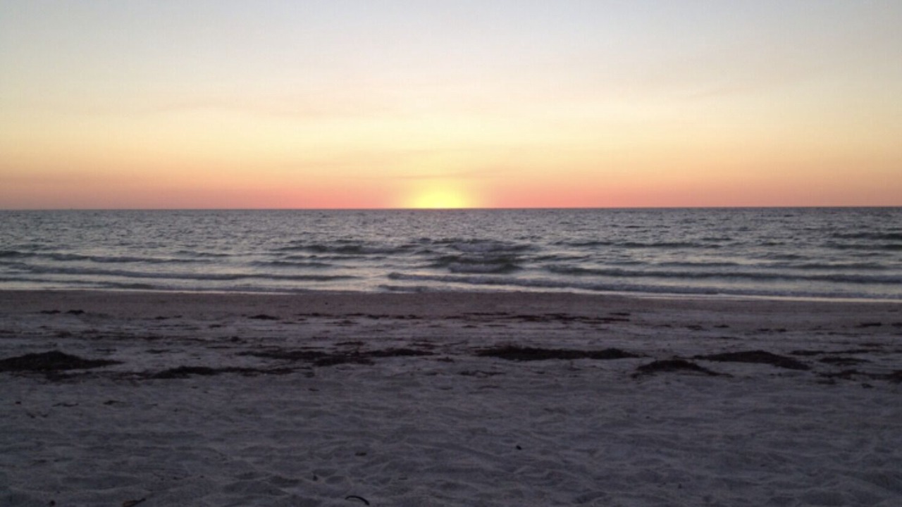 Photo of Others in Pinellas Point