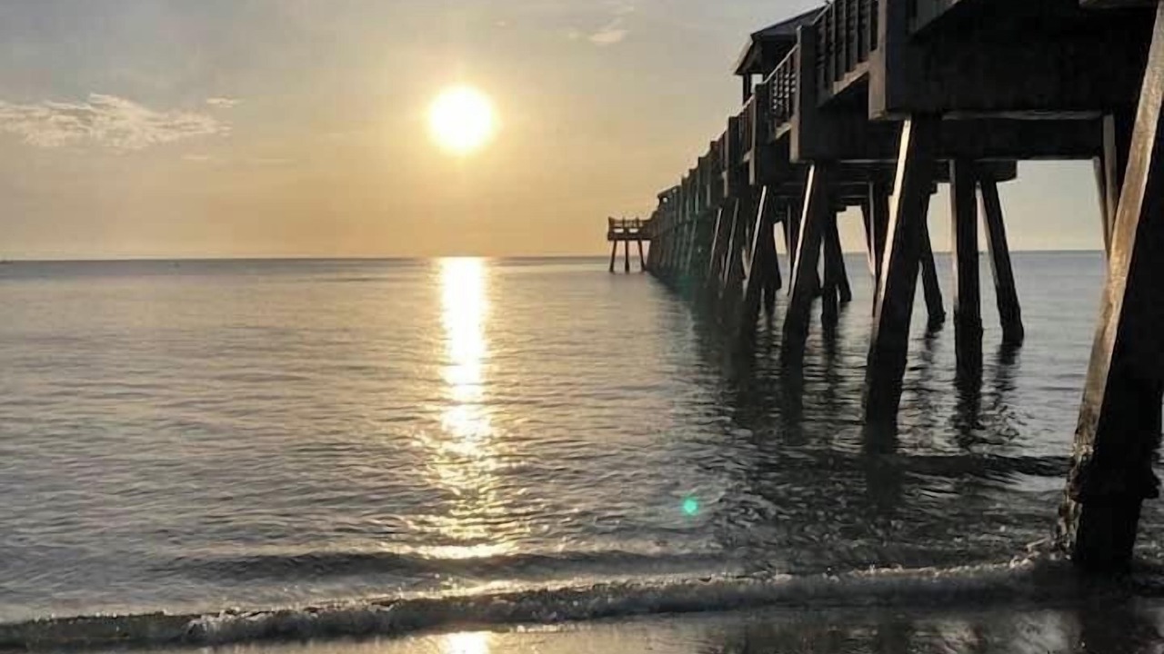 Photo of Others in Jupiter Bay