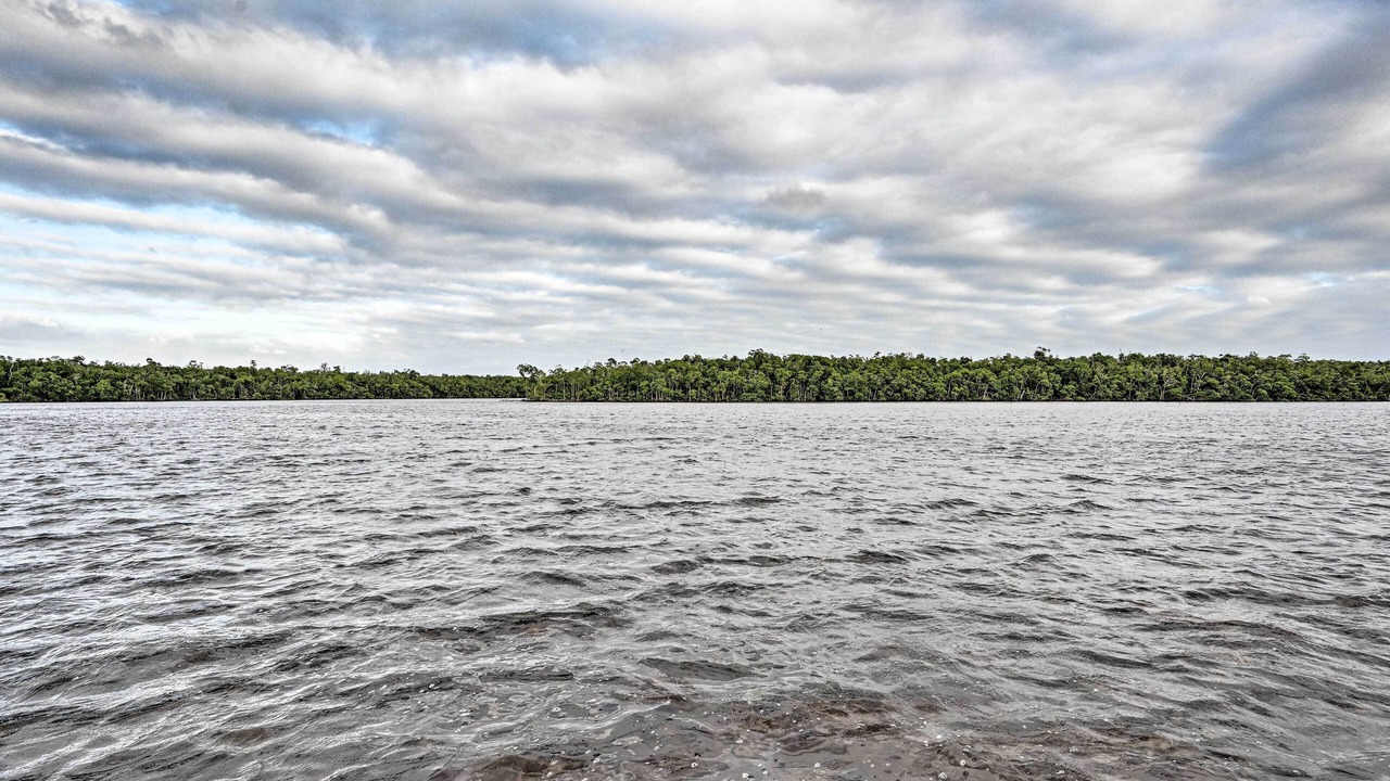 Photo of Others in Everglades City