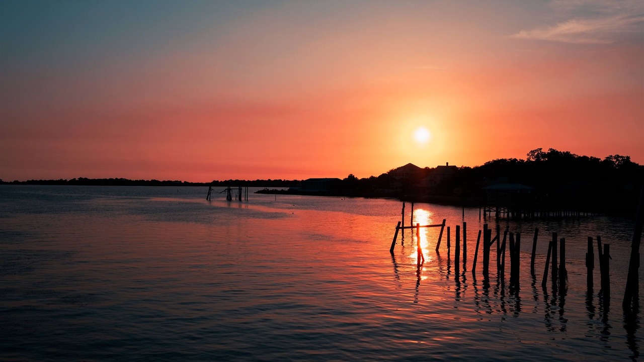Photo of Others in Cedar Key