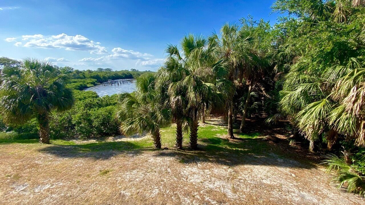 Photo of Others in Cedar Key