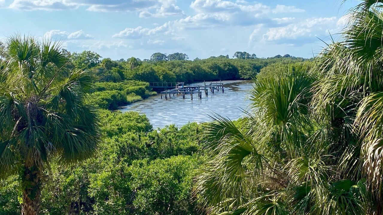 Photo of Outdoor in Cedar Key