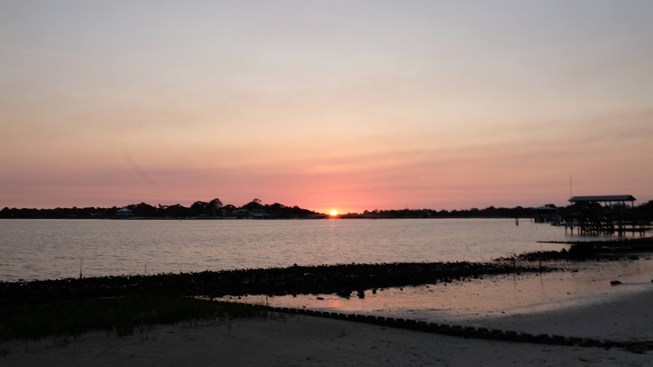 Photo of Others in Cedar Key