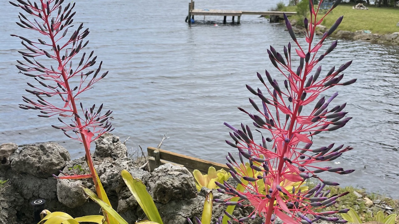 Photo of Outdoor in Old Homosassa