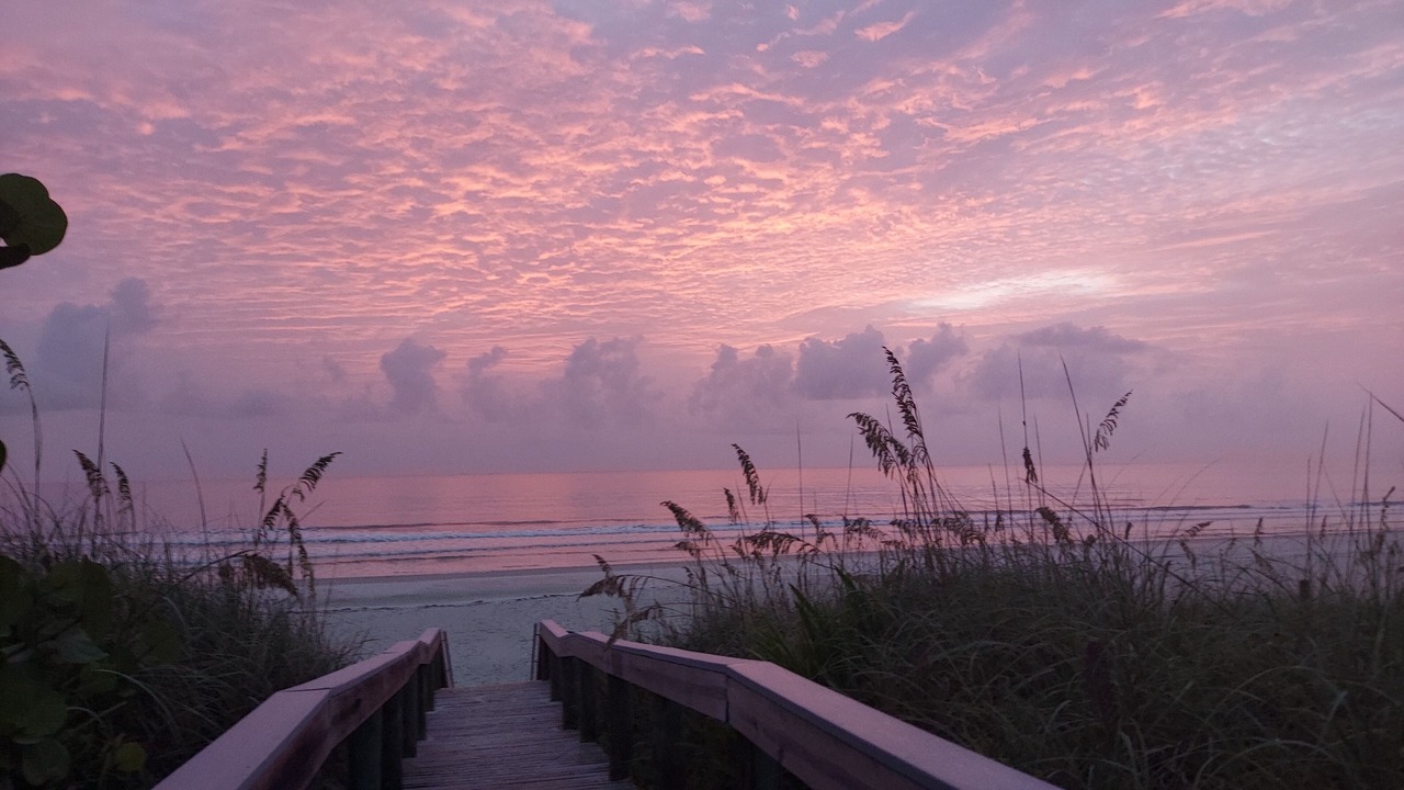Photo of Others in Ponce Inlet