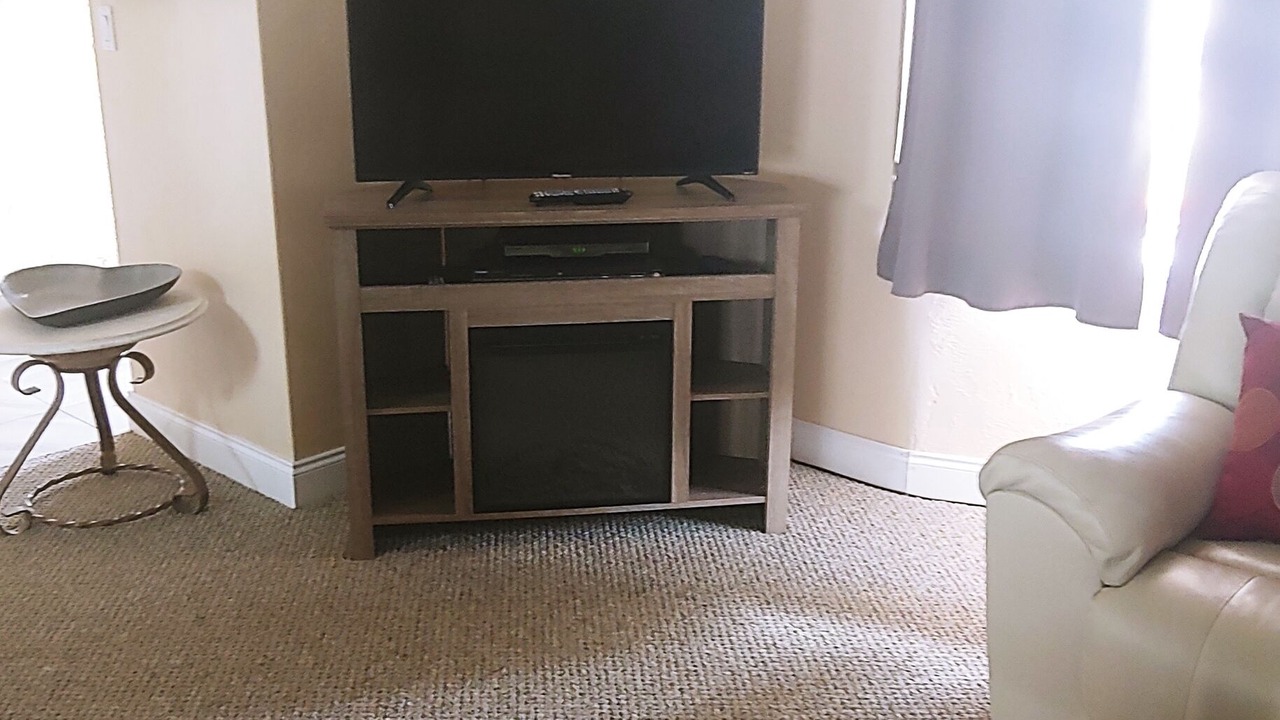 Photo of Livingroom in Ponce Inlet