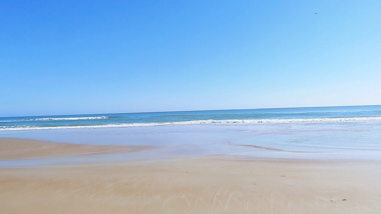Photo of Others in Ponce Inlet