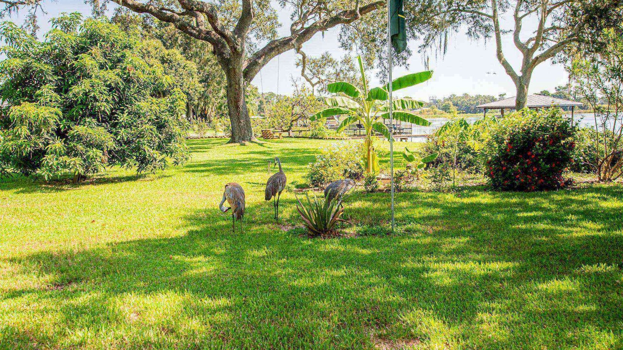 Photo of Others in Winter Haven