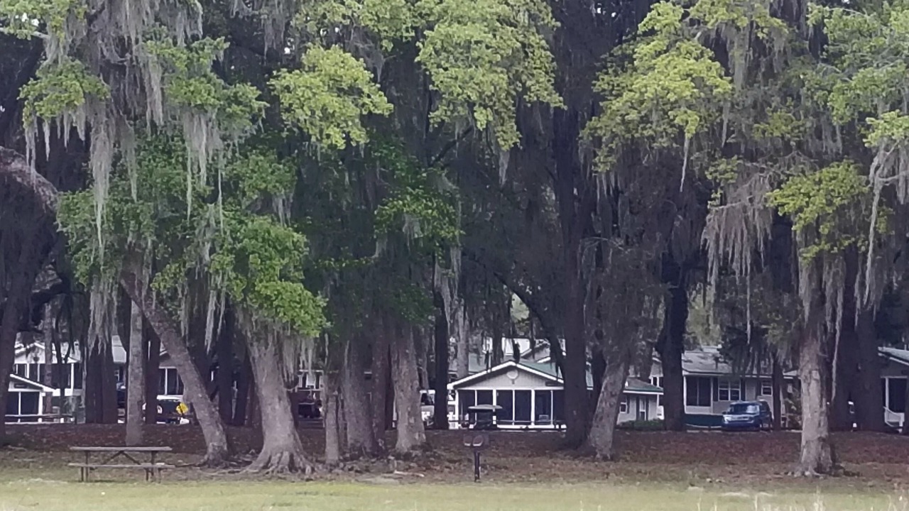 Photo of Outdoor in Salt Springs
