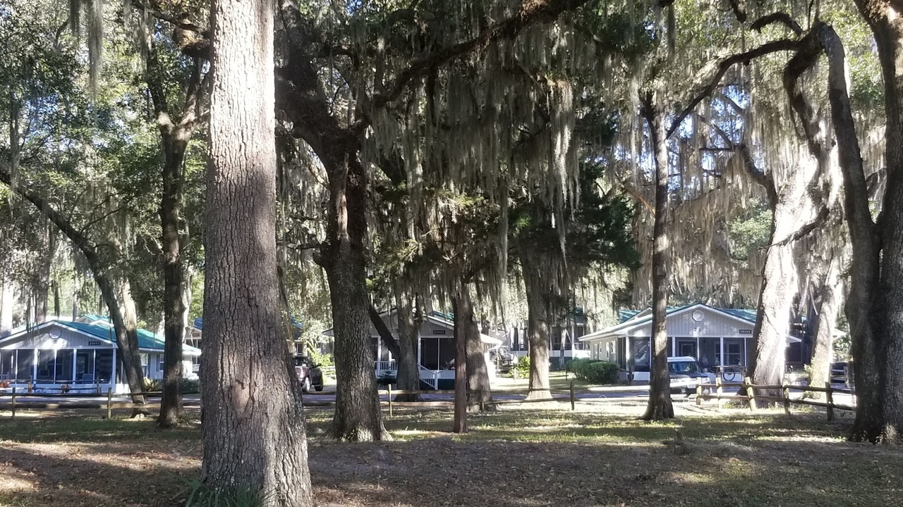 Photo of Outdoor in Salt Springs
