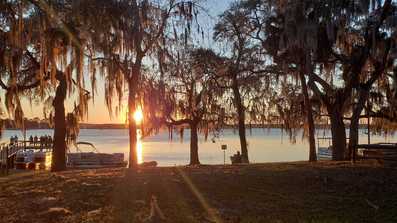 Photo of Others in Salt Springs