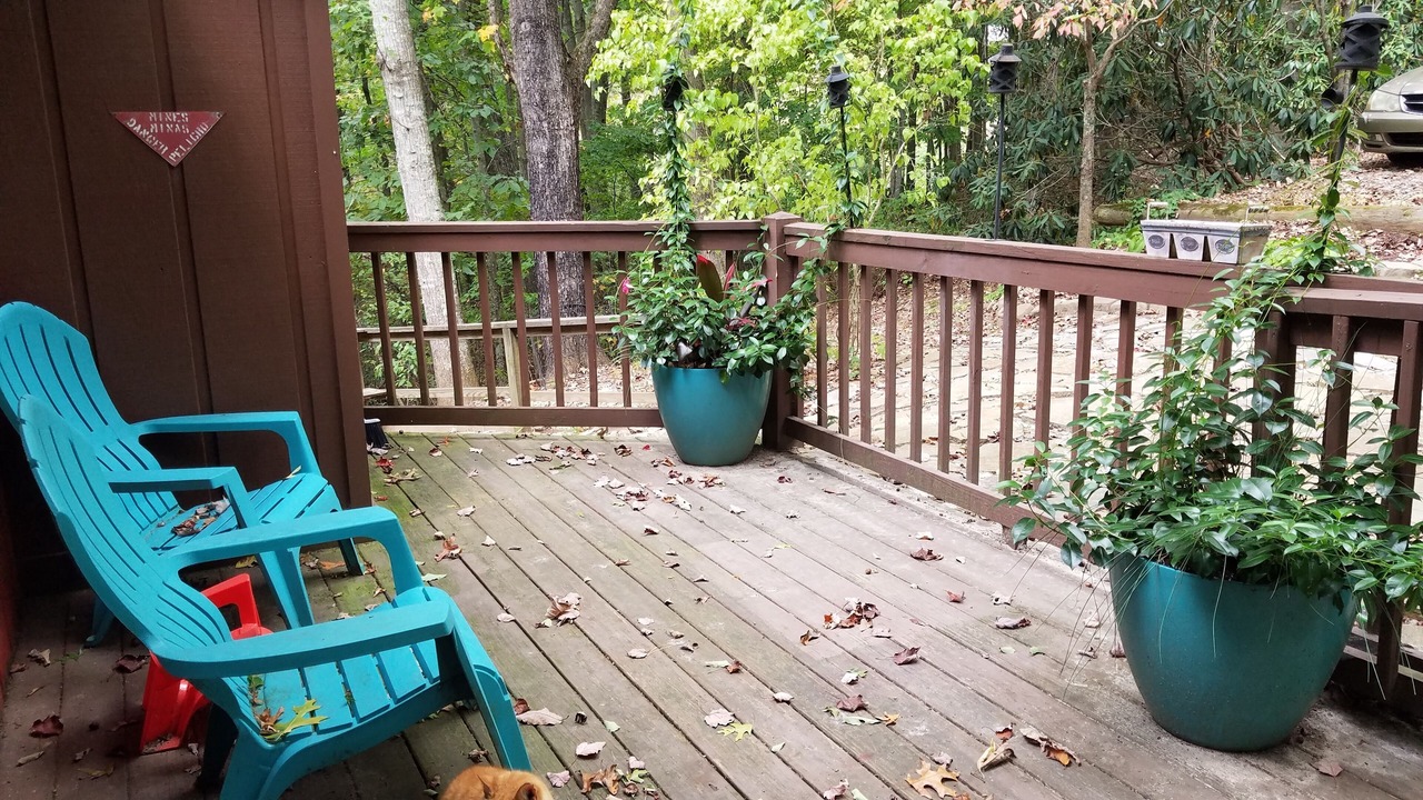 Photo of Patio Balcony in Clyde