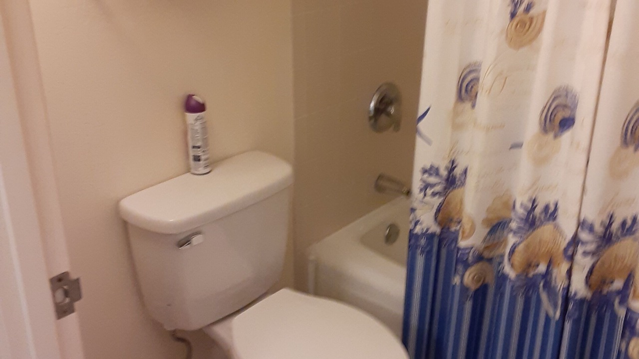 Photo of Bathroom in Ortona Park
