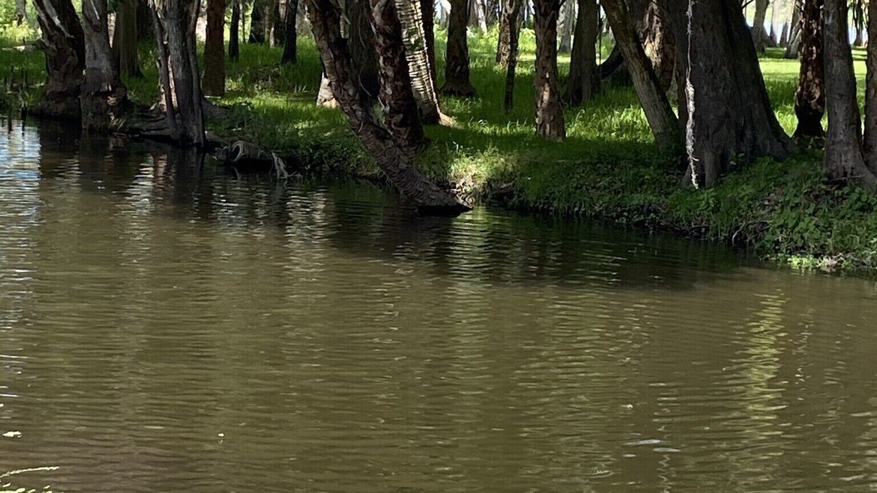 Photo of Outdoor in De Leon Springs