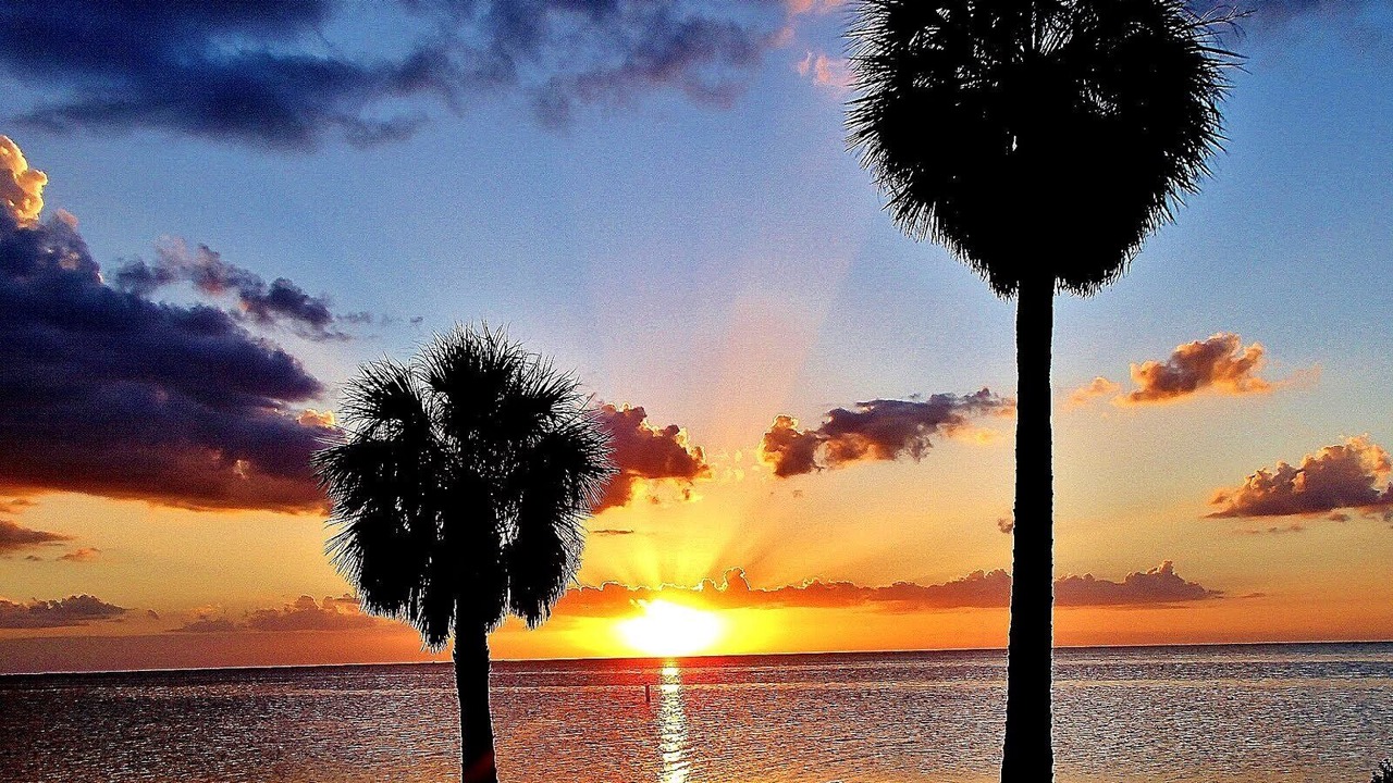 Photo of Others in Tarpon Springs