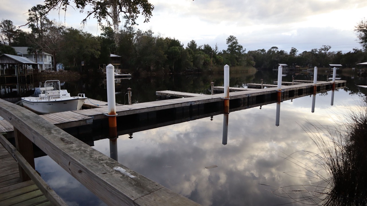 Photo of Others in Steinhatchee