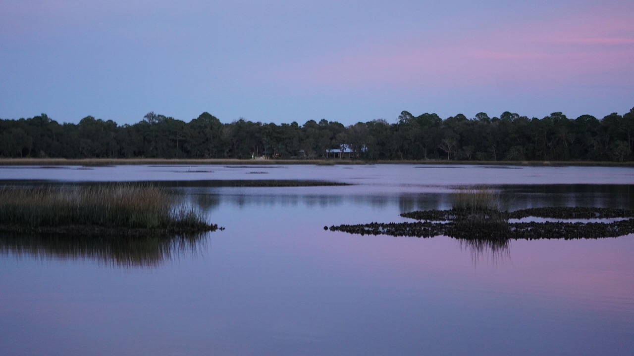 Photo of Others in Yulee