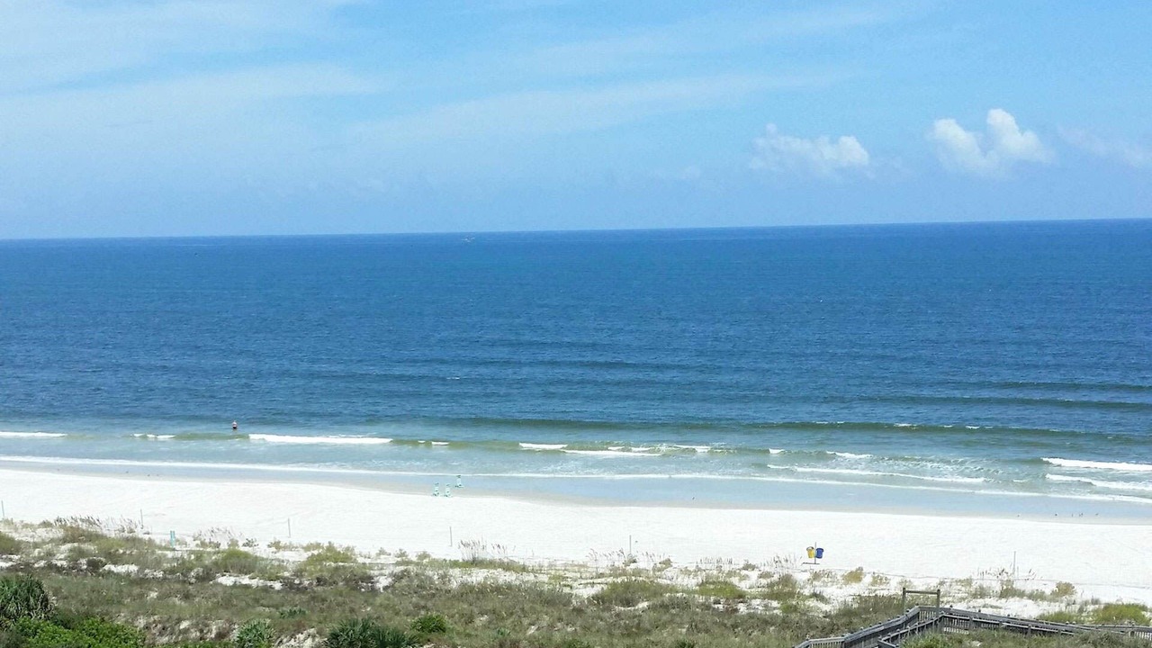 Photo of Others in New Smyrna Beach