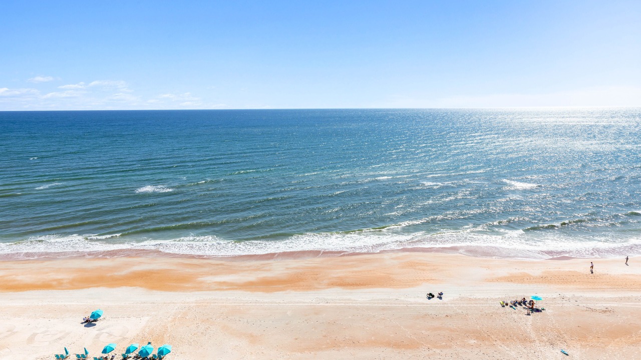 Photo of Others in Ormond-by-the-Sea