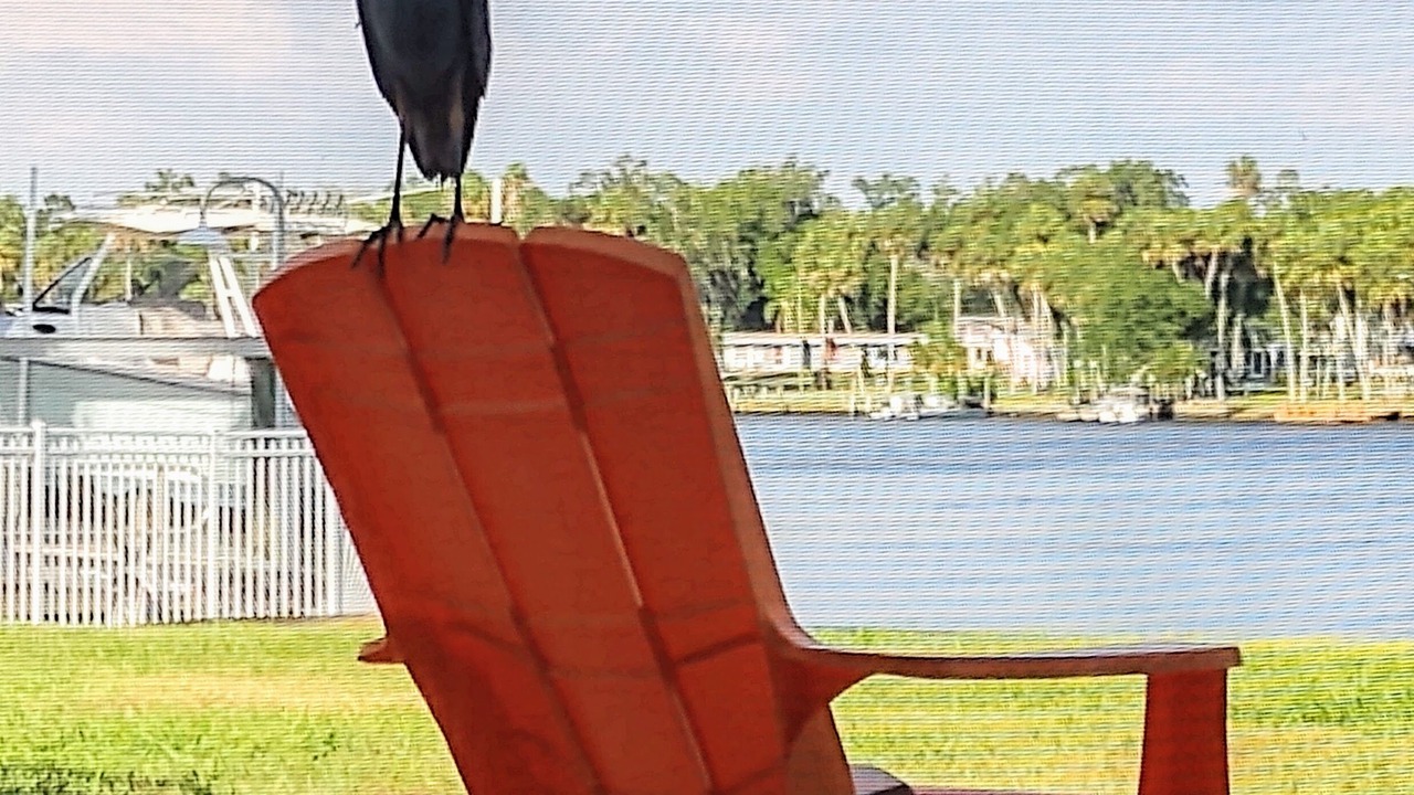 Photo of Outdoor in New Port Richey