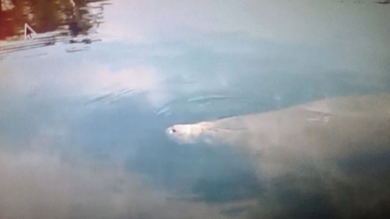 Photo of Others in New Port Richey