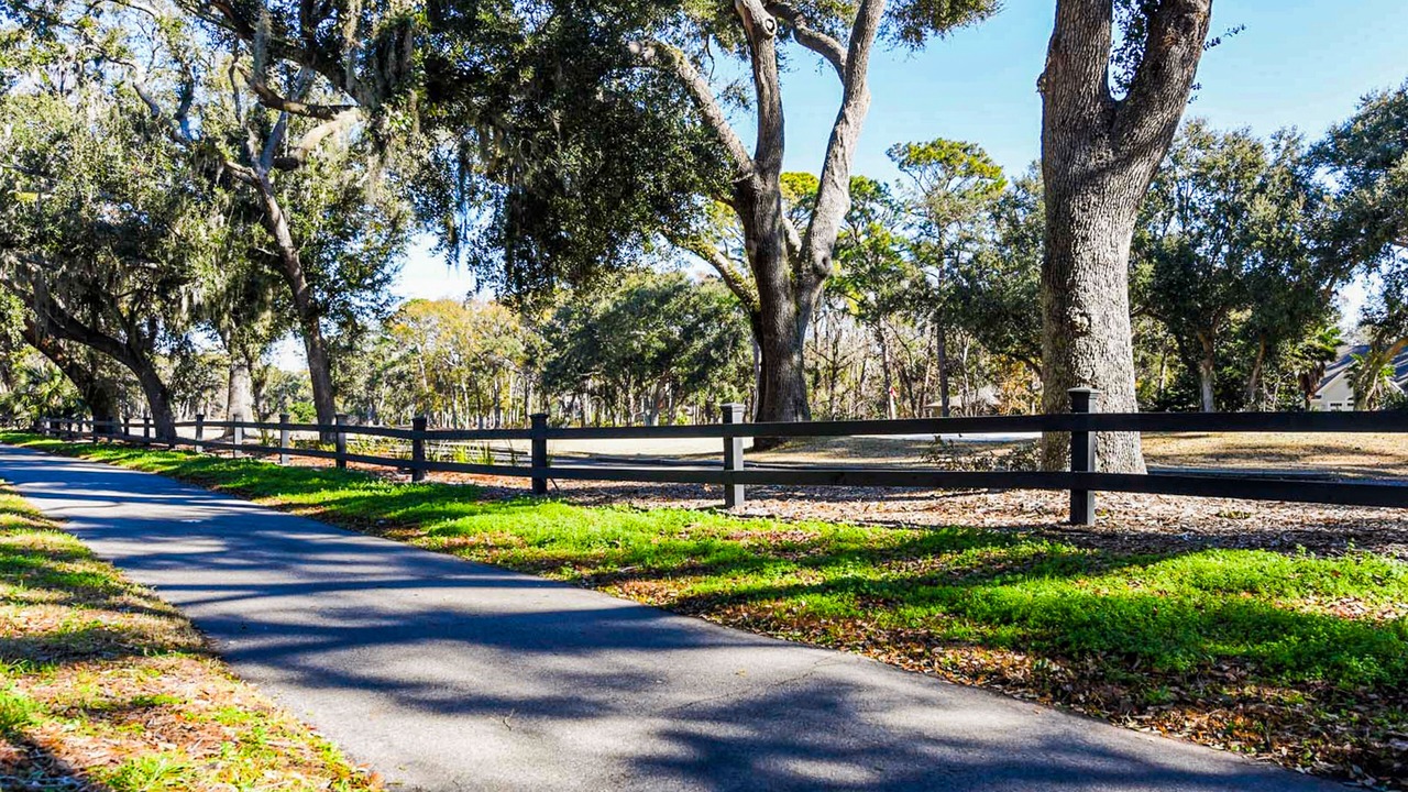 Photo of Others in Folly Field