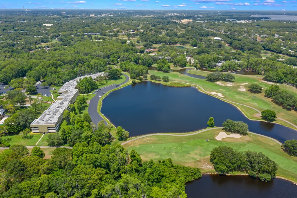 Photo of Outdoor in Palm Harbor