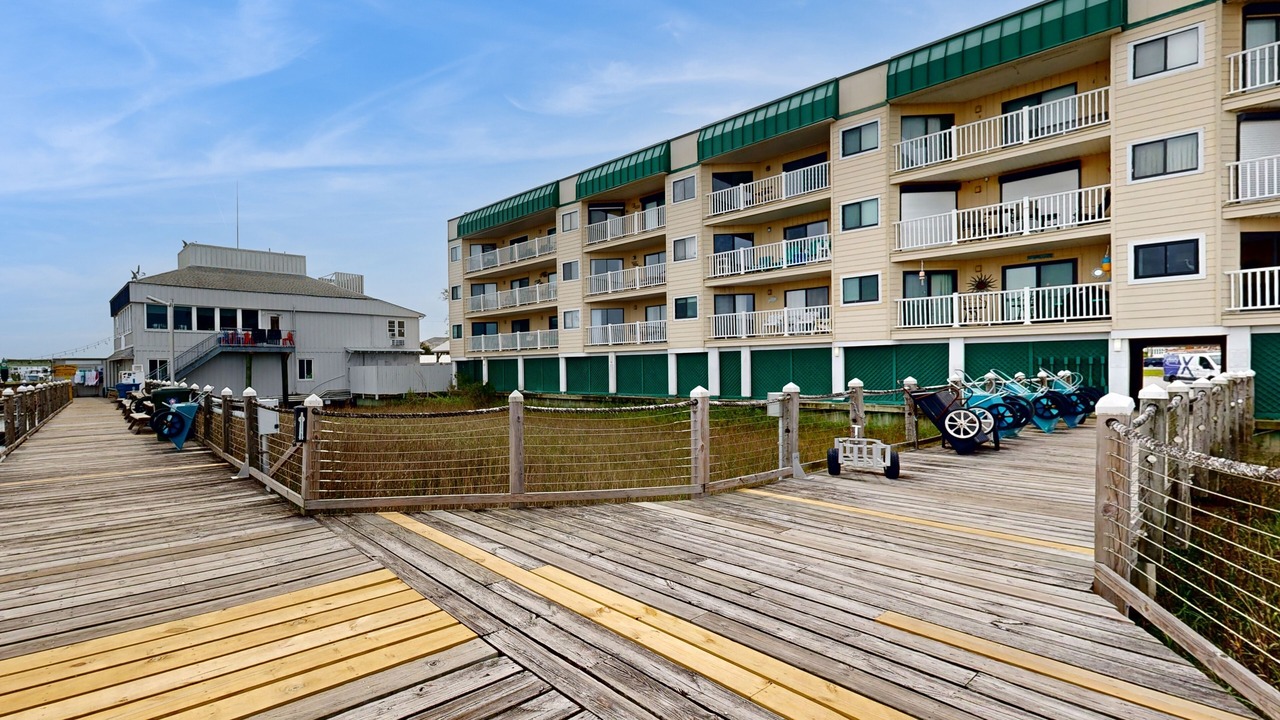 Photo of Outdoor in Edisto Island