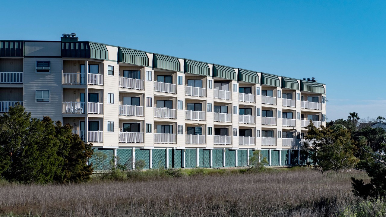 Photo of Outdoor in Edisto Island