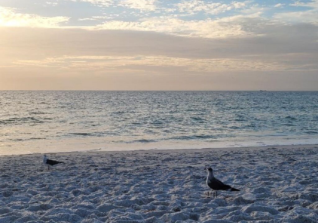 Photo of Others in Park Shore