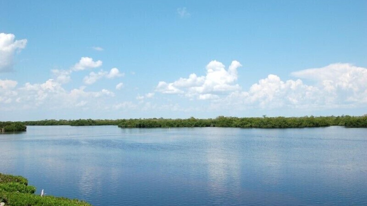 Photo of Outdoor in Pine Island Center