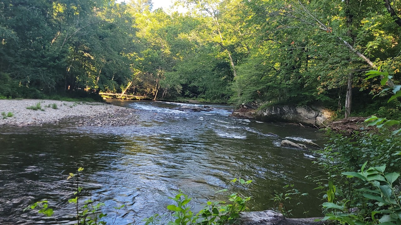 Photo of Others in Sylva