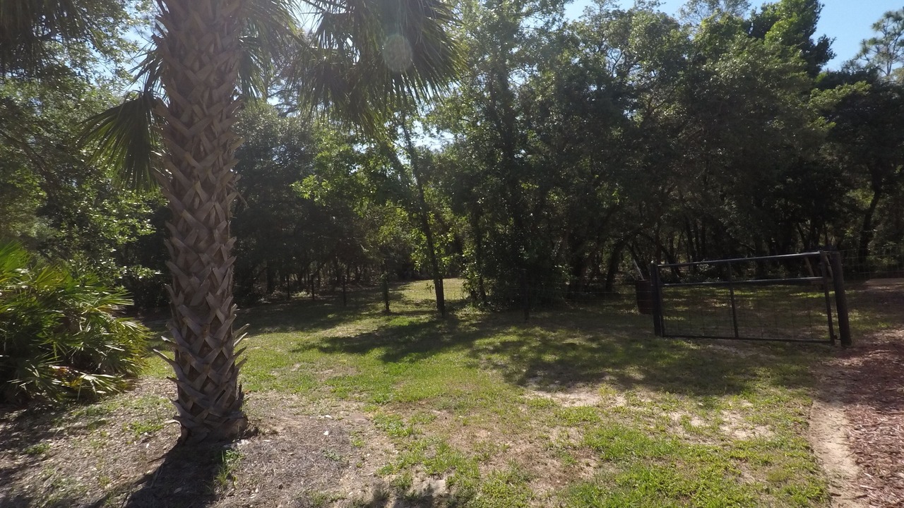 Photo of Outdoor in Pine Ridge