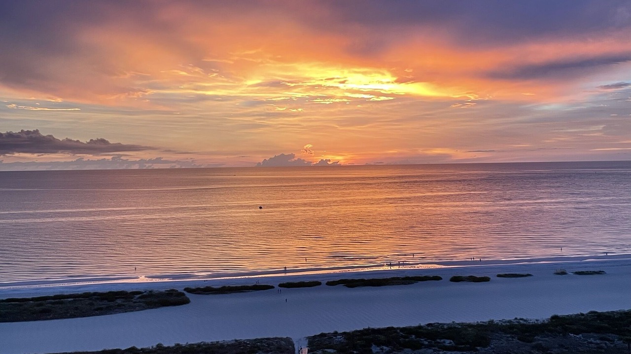 Photo of Others in Sand Key